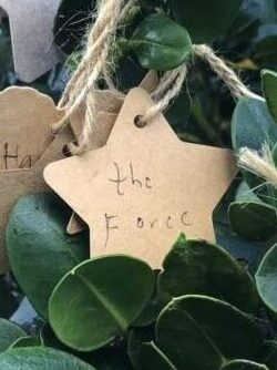 This image has an empty alt attribute; its file name is The-Force-is-with-me-768x1024.jpg